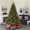 7.5ft. Pre-Lit Colorado Mountain Fir Artificial Christmas Tree, Clear LED Lights